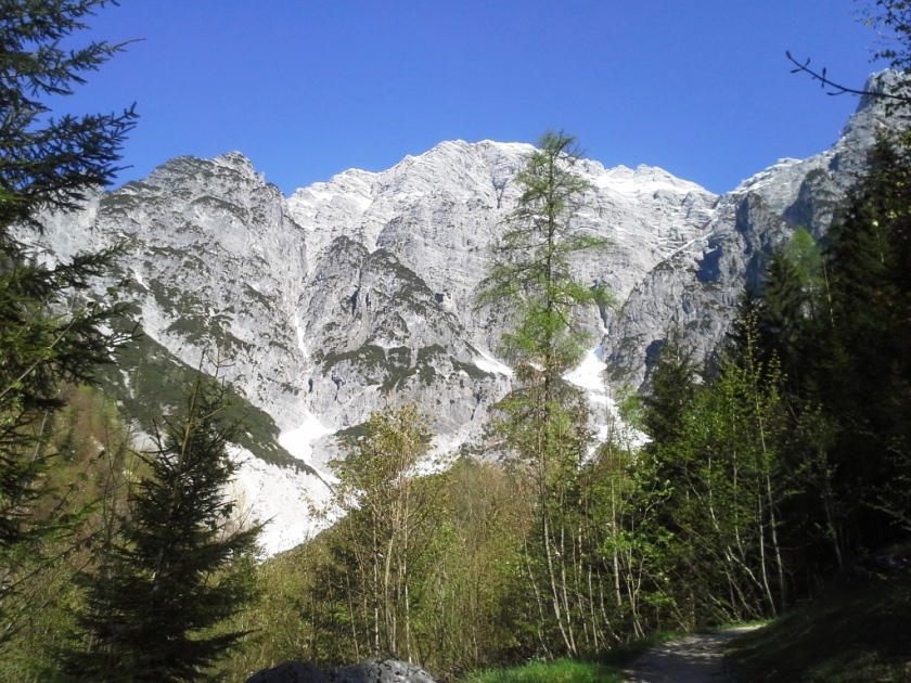 Bild 2 Naturdenkmal Birnbachloch-Birnhorngletscher/Leogang