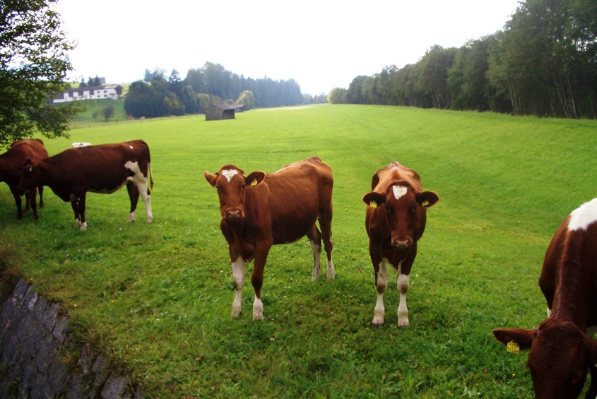 Bild 3 Geschichte - Erlebnisweg 