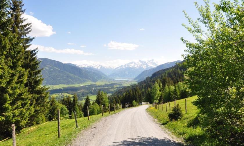 Bild 4 Huggenbergalm und zum Biberg/Saalfelden